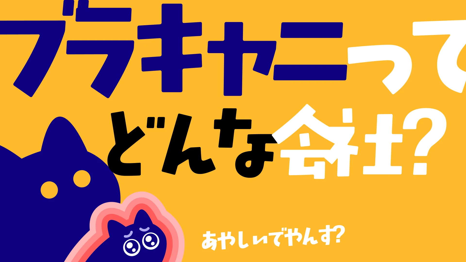 ブラキャニの会社説明動画