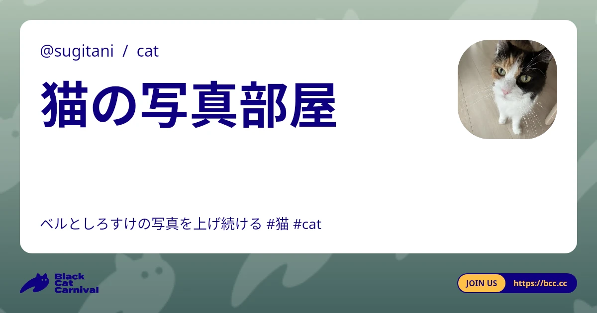 ブラウザ閲覧の例