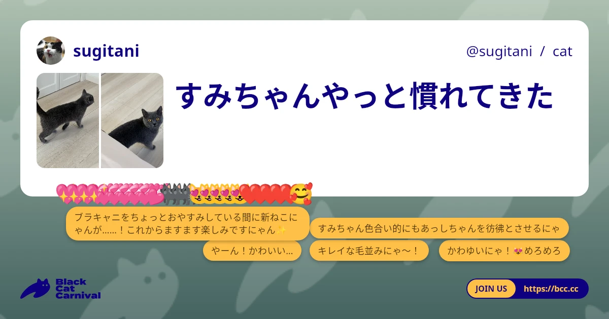 ブラウザ閲覧の例